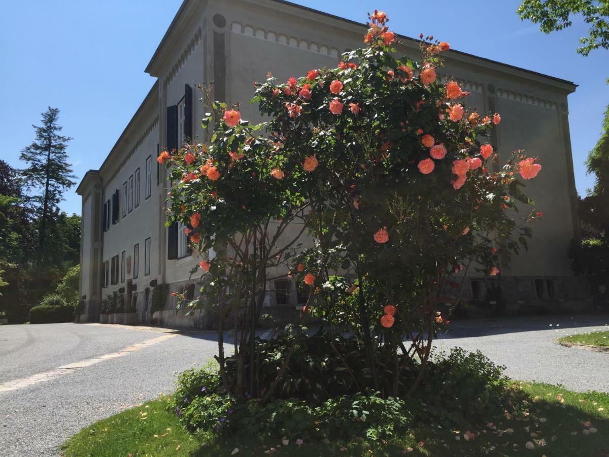 Blue Flat By Grazrentals Best Location & Free Parking Esterno foto