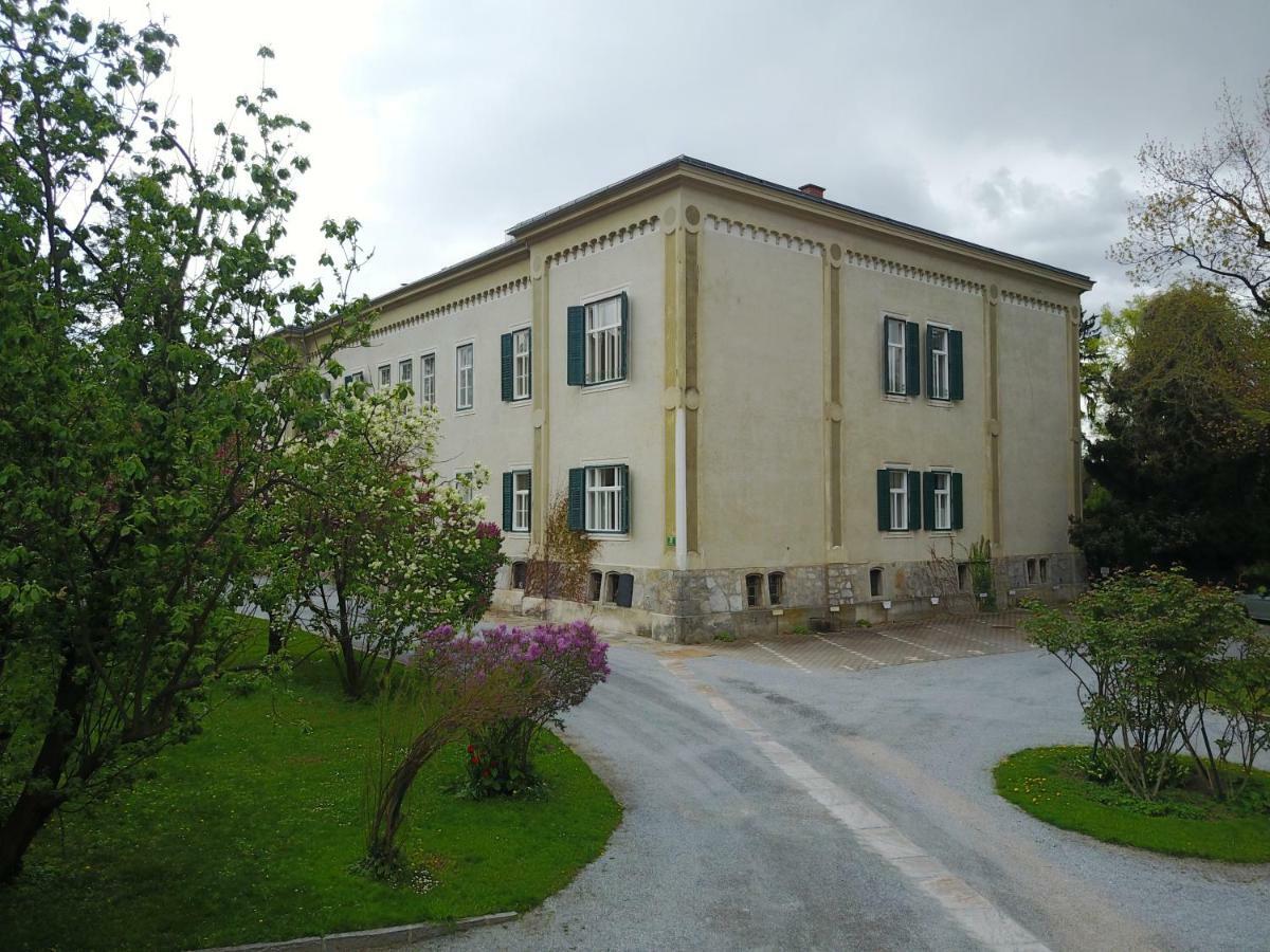 Blue Flat By Grazrentals Best Location & Free Parking Esterno foto